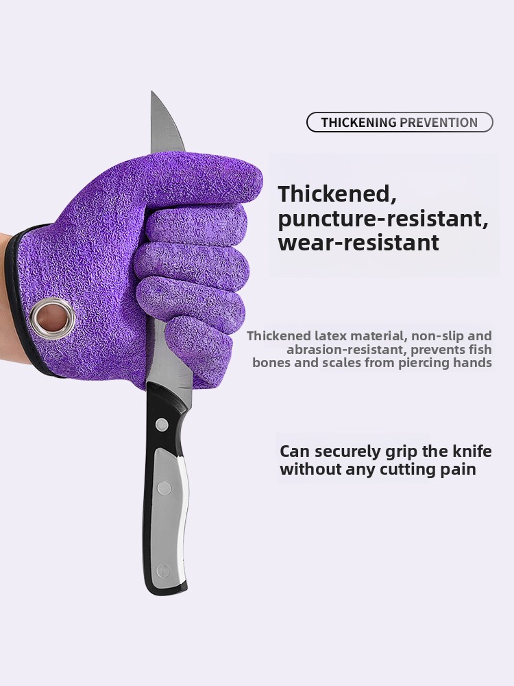 Fishing Glove Anti-Bursh Anti- - Fishing Equipment Brands 评论和价格